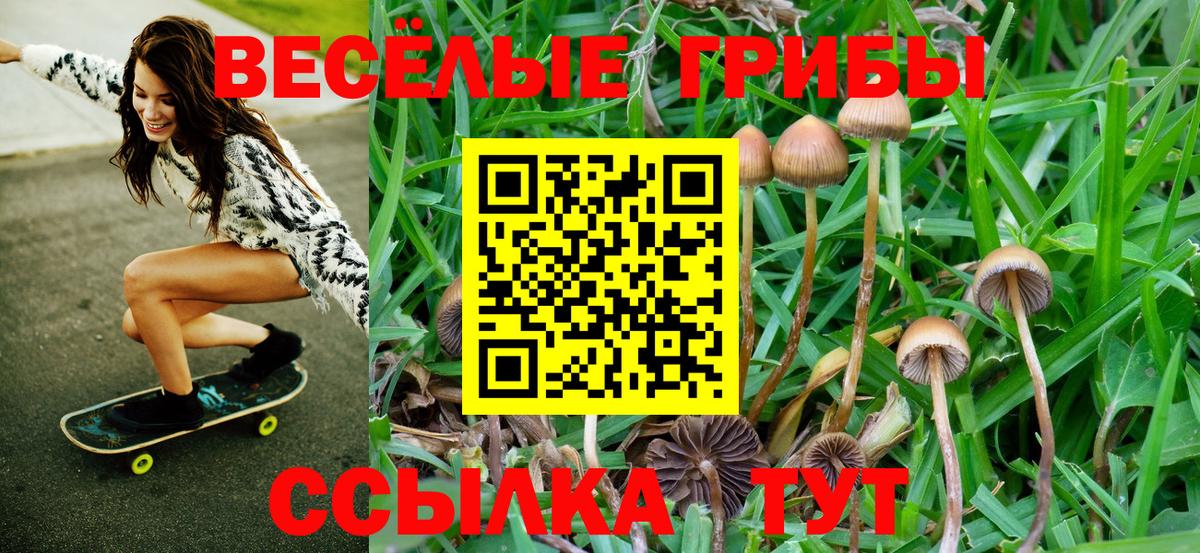 Галлюциногенные грибы мухоморы  Вход с VPN  Алушта 